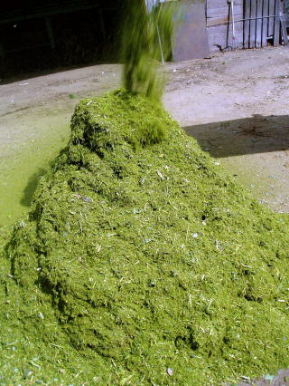 ���Ӄ`�b�v