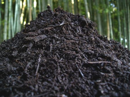 ���u���C�͔�