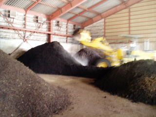 �͔쉻�E�؂�Ԃ�