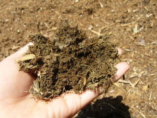 ���Ӄ`�b�v���̌�