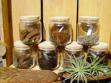 �H�꒼����