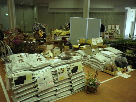 �����̗l�q���̂P