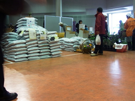 �����̗l�q���̂R