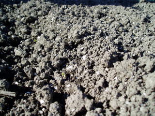 �y����ǌ�