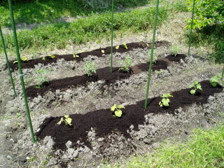 ���͔�Ń}���`���O