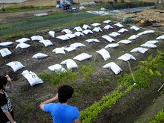 ���͔�𔨂ɎT��