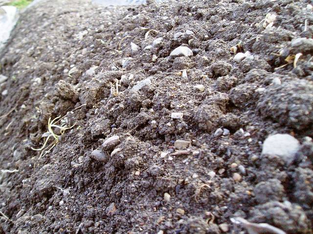 �ӂ��ӂ��̓y