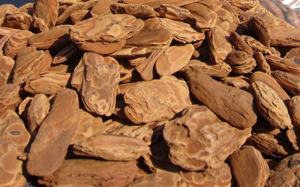 �f�R���o�[�N�܎p