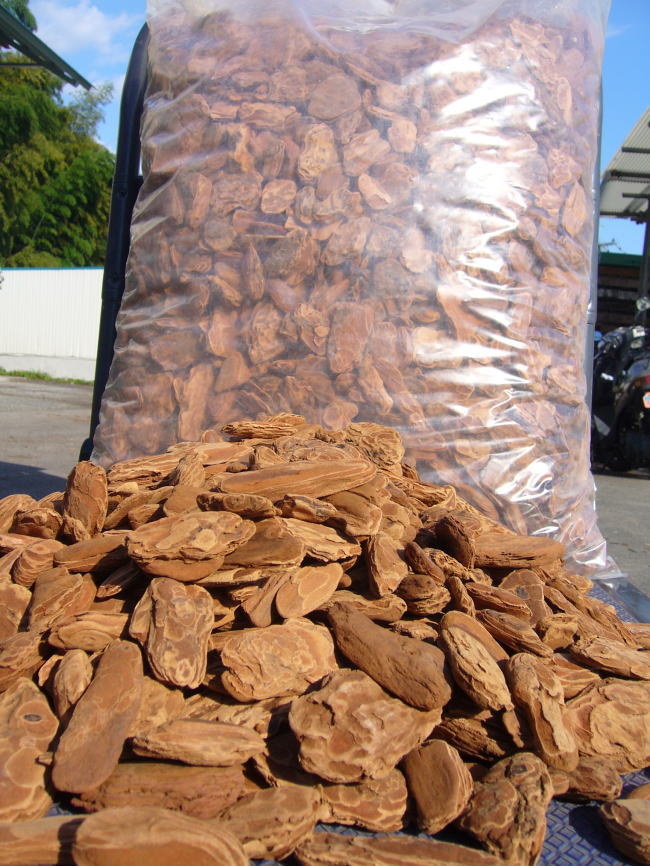 �o�[�N�`�b�v 50L