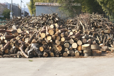 ���؁i���E�}�j